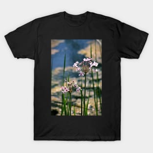 Wild Garlic (vert) T-Shirt